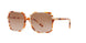 377613 - Havana - Brown Gradient