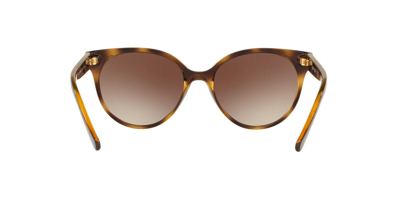 W65613 - Havana - Brown Gradient
