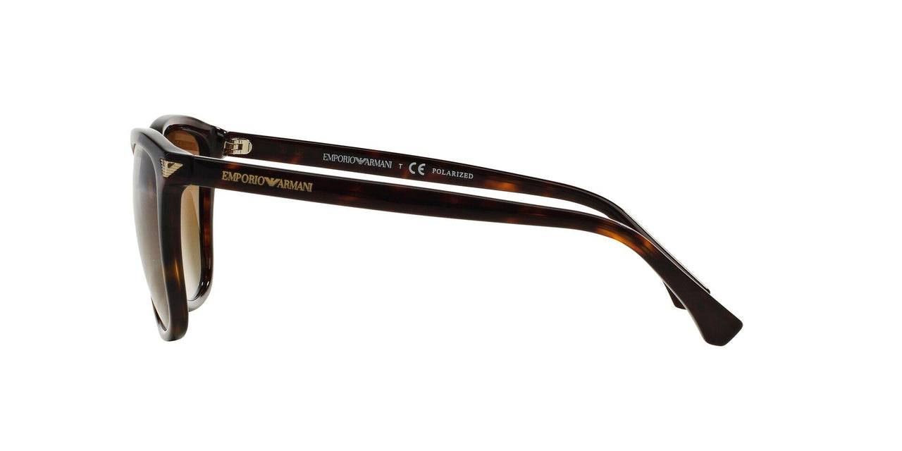 5026T5 - Havana - Polar Brown Gradient