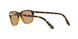 108653 - Havana - Brown