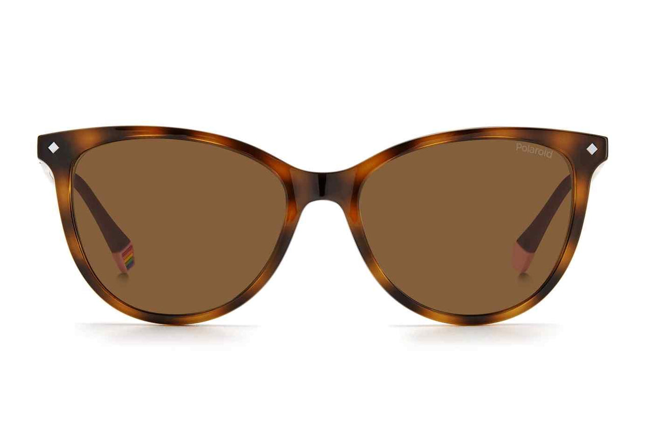 0086-SP - Dark Havana - Bronze Pz