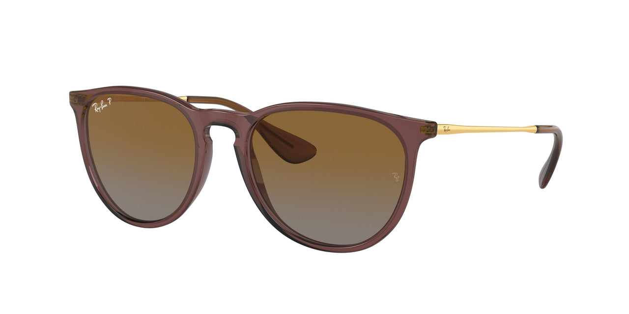 Ray-Ban Erika 4171 Sunglasses