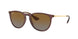 Ray-Ban Erika 4171 Sunglasses