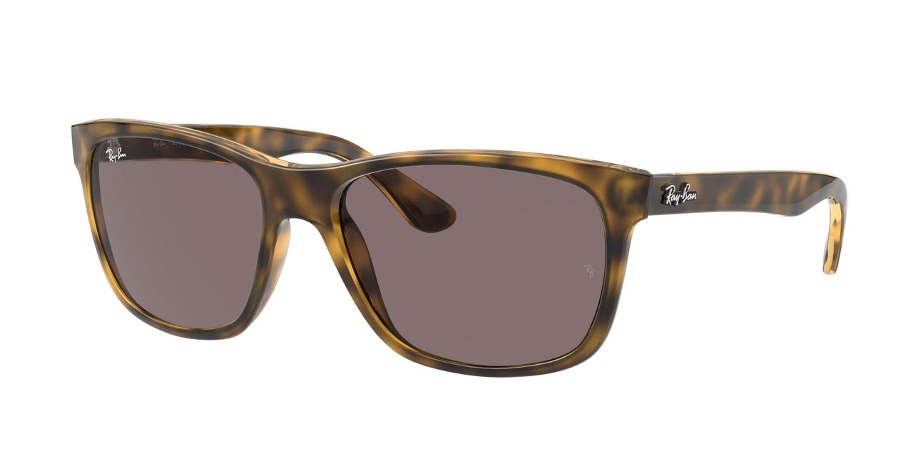 Ray-Ban Rb4181 4181 Sunglasses