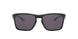 944801 - Black - Prizm Grey
