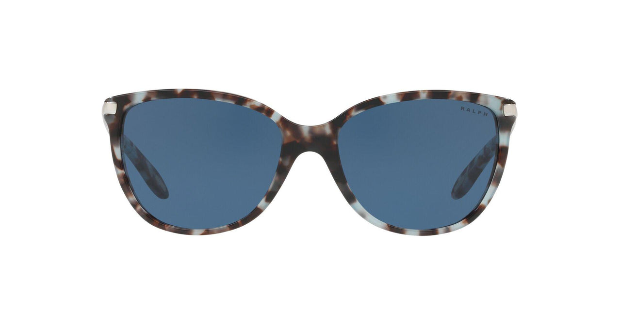 169280 - Blue Tortoise - Blue Solid