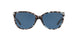 169280 - Blue Tortoise - Blue Solid
