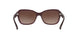550913 - Oxblood - Dark Brown Gradient