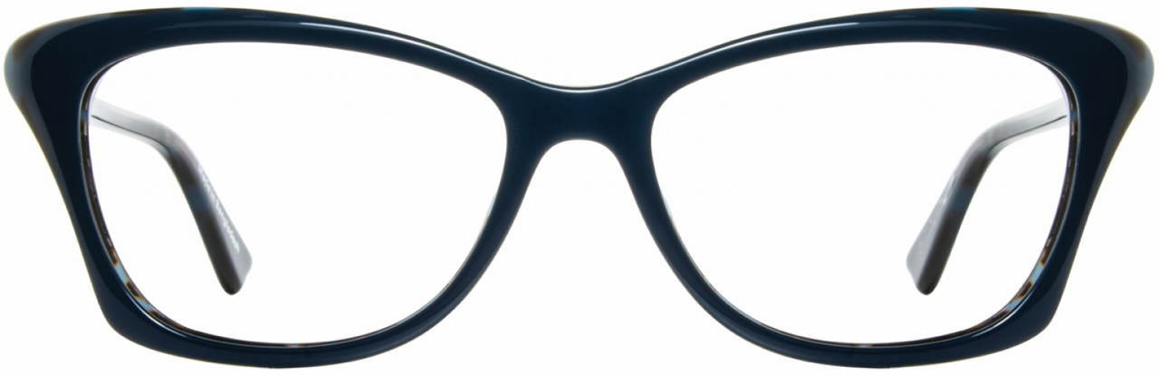 1 - Peacock / Teal Tortoise