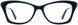 1 - Peacock / Teal Tortoise