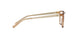 3501 - Dark Brown Transparent Injecte