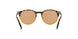 905653 - Havana - Brown