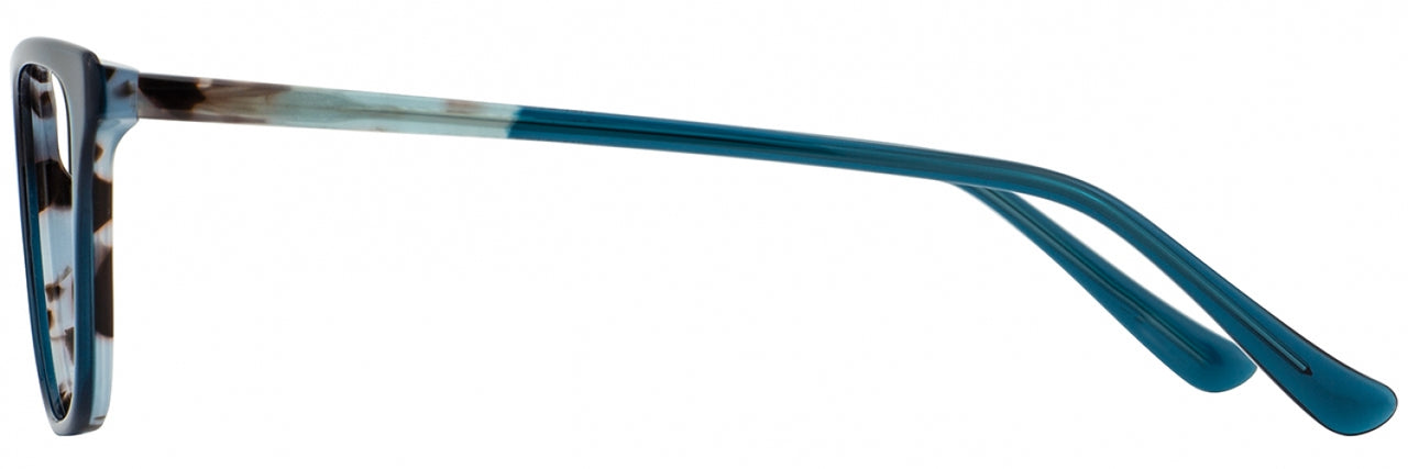 2 - Teal Tortoise