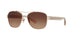 926513 - Gold - Brown Gradient