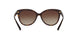 300613 - Havana - Brown Gradient