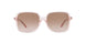 367813 - Pink - Brown Pink Gradient