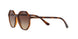 238613 - Brown Gradient