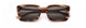 Paradigm 20-62 Sunglasses