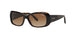 W65613 - Havana - Brown Gradient