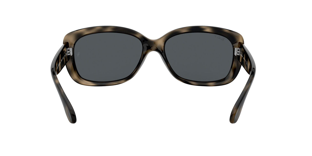 731/81 - Havana - Grey Gradient Brown Polar