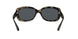 731/81 - Havana - Grey Gradient Brown Polar