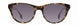 STATE Optical Co. RAVENSWOODSW Sunglasses