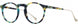 3 - Teal Tortoise / Gold