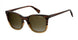 Polaroid Core Pld4059 Sunglasses