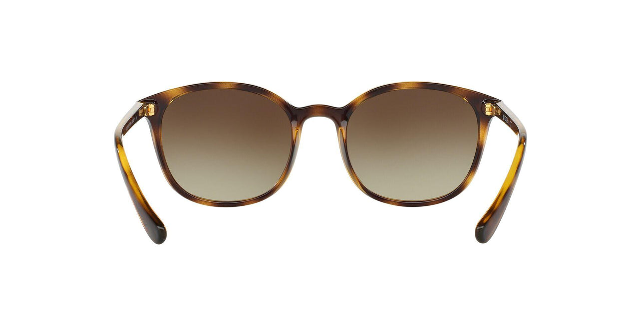 W65613 - Havana - Brown Gradient