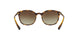 W65613 - Havana - Brown Gradient
