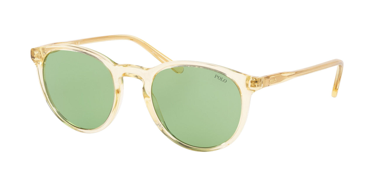 Polo 4110 Sunglasses