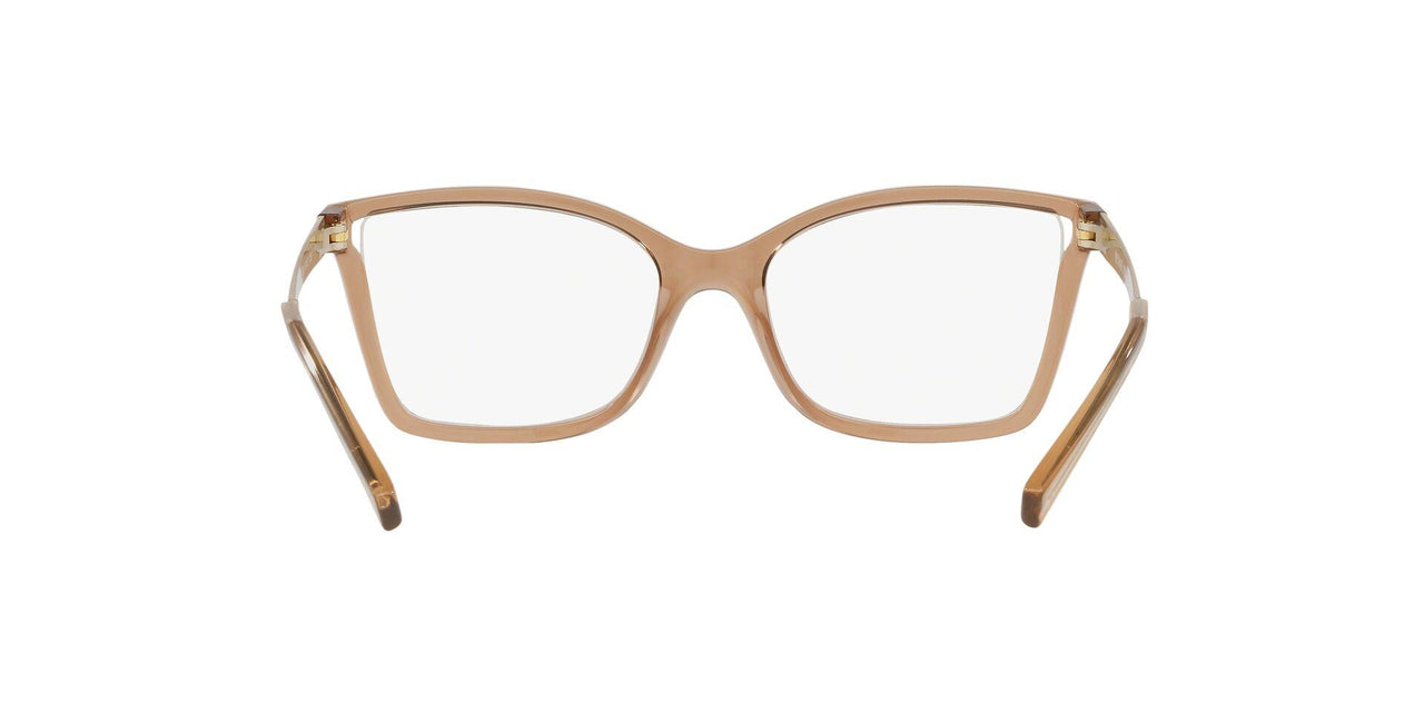 3501 - Dark Brown Transparent Injecte