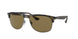 Ray-Ban 4342 Sunglasses
