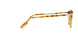 106151 - Havana - Clear Gradient Brown