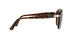 24/33 - Havana - Crystal Brown