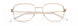 Paradigm 21-02 Eyeglasses