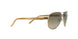 101/13 - Gold - Brown Gradient