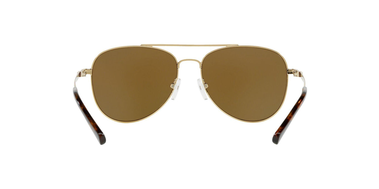 10142O - Gold - Brown Mirror Solid Polar
