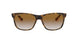 710/51 - Havana - Crystal Brown Gradient