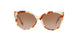 377613 - Clear - Brown Gradient