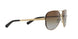 1014T5 - Brown - Brown Gradient Polarized