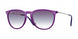 Ray-Ban Erika 4171 Sunglasses