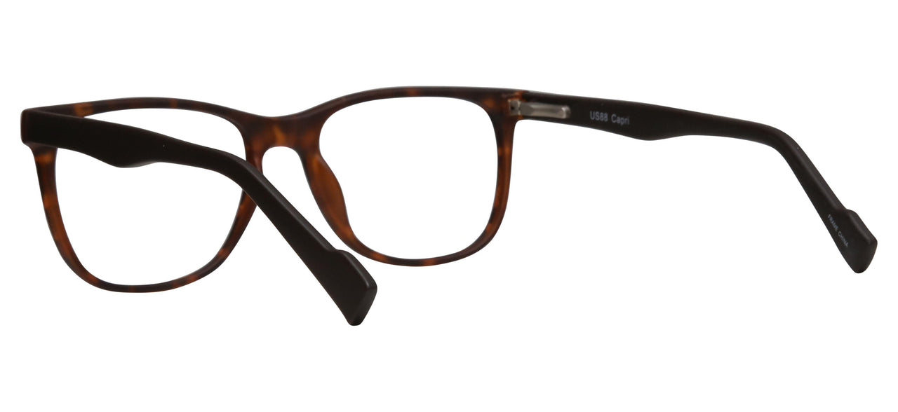 Tortoise - Tortoise/brown