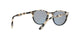 9054R5 - Havana - Grey