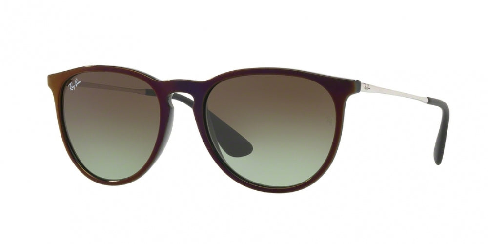 Ray-Ban Erika 4171 Sunglasses