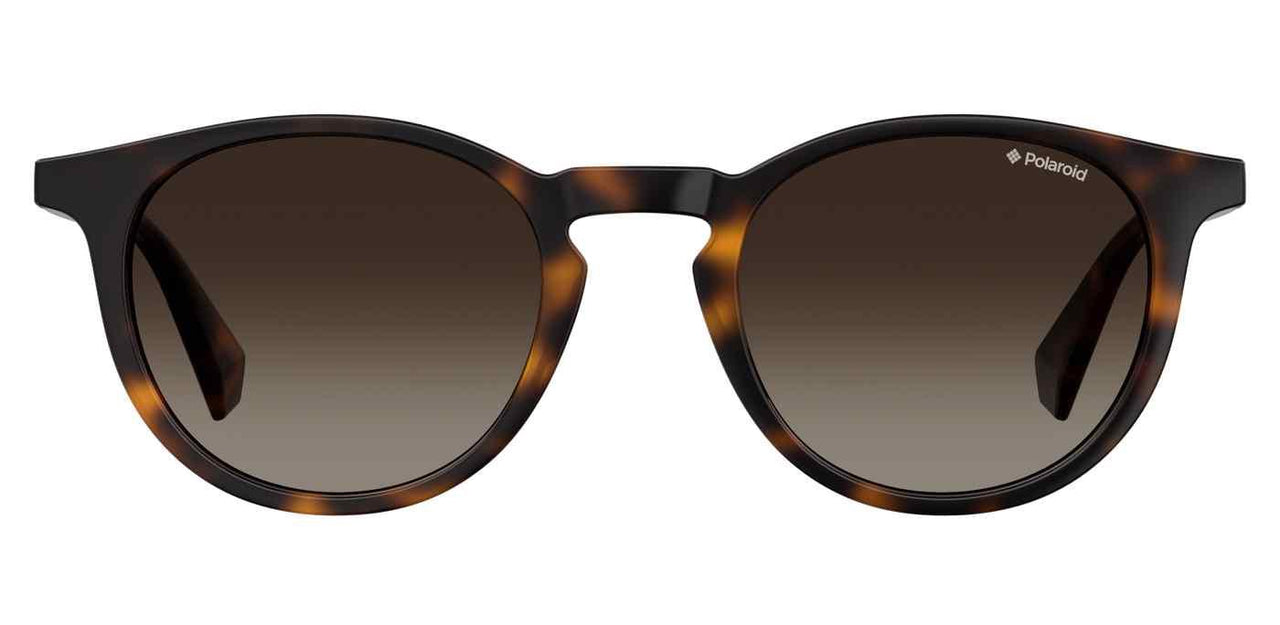 0086-LA - Dark Havana - Brown Gradient Polz