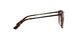 934S13 - Brown - Brown Gradient
