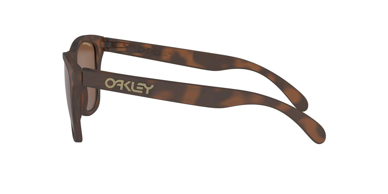 9013C5 - Matte Tortoise - Prizm Tungsten