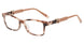 1JGT - Pink Tortoise 1JGT