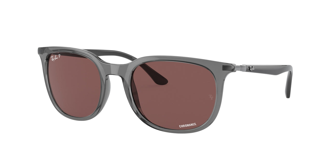 Ray-Ban 4386F Sunglasses